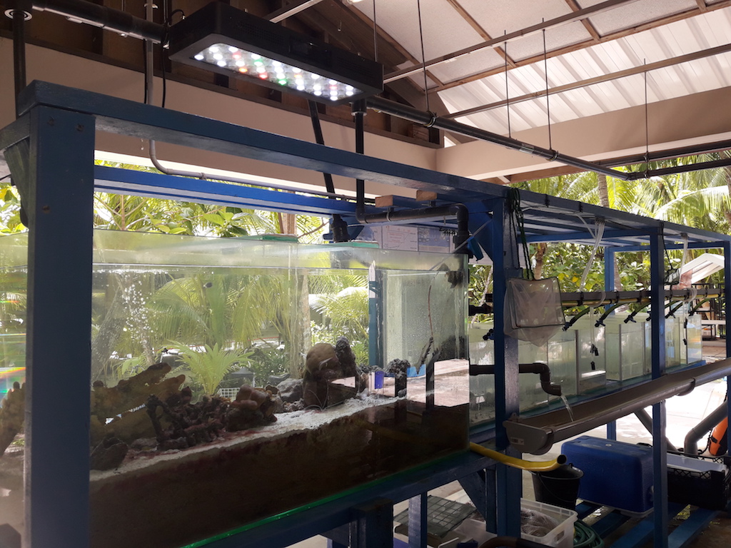 Ecostation Tetiaroa Society